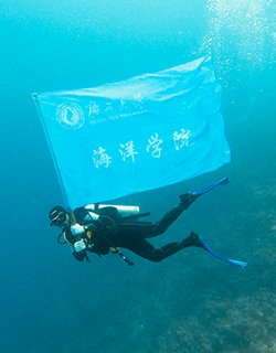 Xiaoyan Chen