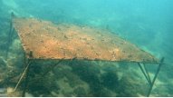 Physical Oceanogra