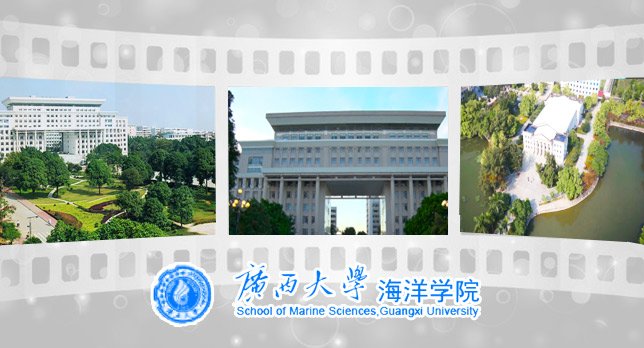 AG登录官方网站app官方版